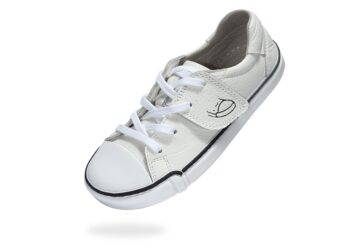 0c6728be789f52991860e5272dfb5263