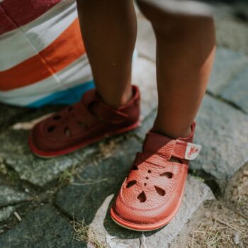 bf4761edc6f35169465649a1dbb228f4