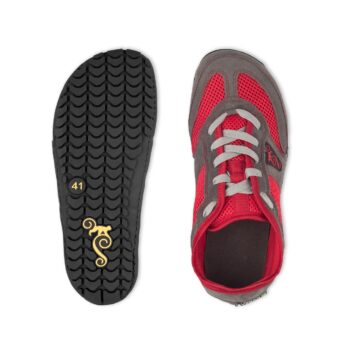 4ab293ac24e8791a6ec55d6fff0c31d4