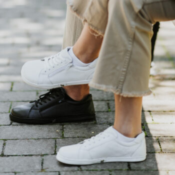 1afb67c809c49cbdd4bd10f66ca50f75