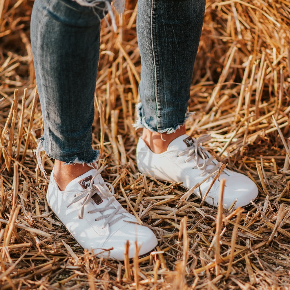 21d3300166e02b911180476302afc566