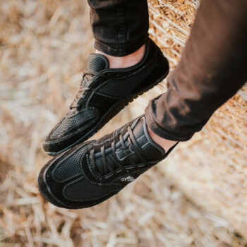 e52cdbd887f1a9ce29736ab863a12183