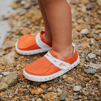 591e008739418d702a6fc1a8834f4566