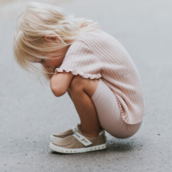 7ab601f0e9d111244bb125771121b642