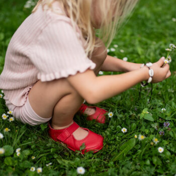 e310138f23bd60244b52b0b4ca2224f6