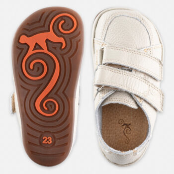 82c800d4e282a2c2fdfdc4665cd0330e