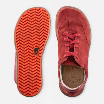 31454ab039169dc1b56529a019111813