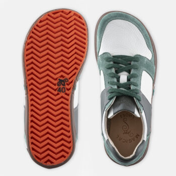 b5bf7699e2ade3a9d830f33882c18dfe