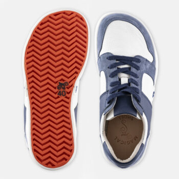 02229e879c0f68996f402ee3815224a1