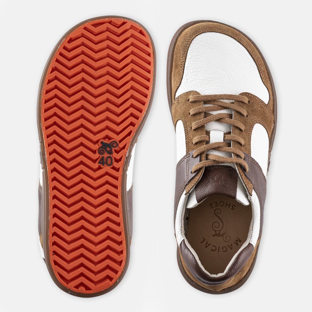 e9fdc80889889c0bc12423e0734f7262