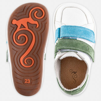 c355ebc9811784f38377514e948079e2