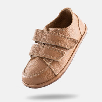 668ff7b317632d67c4556977cecb5e22