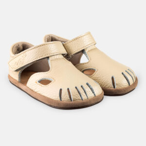 623c8a358c4a7aa77f5549fea185553d