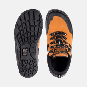 0cc6c4761055e8c52c9f0e5e7b2d9701