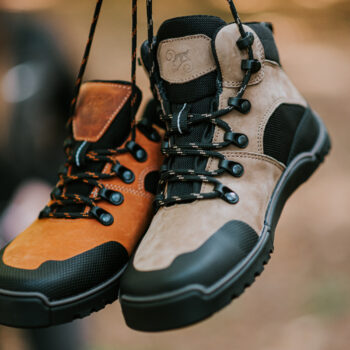 1486a65fa7eeda4454d31b56dd375f90