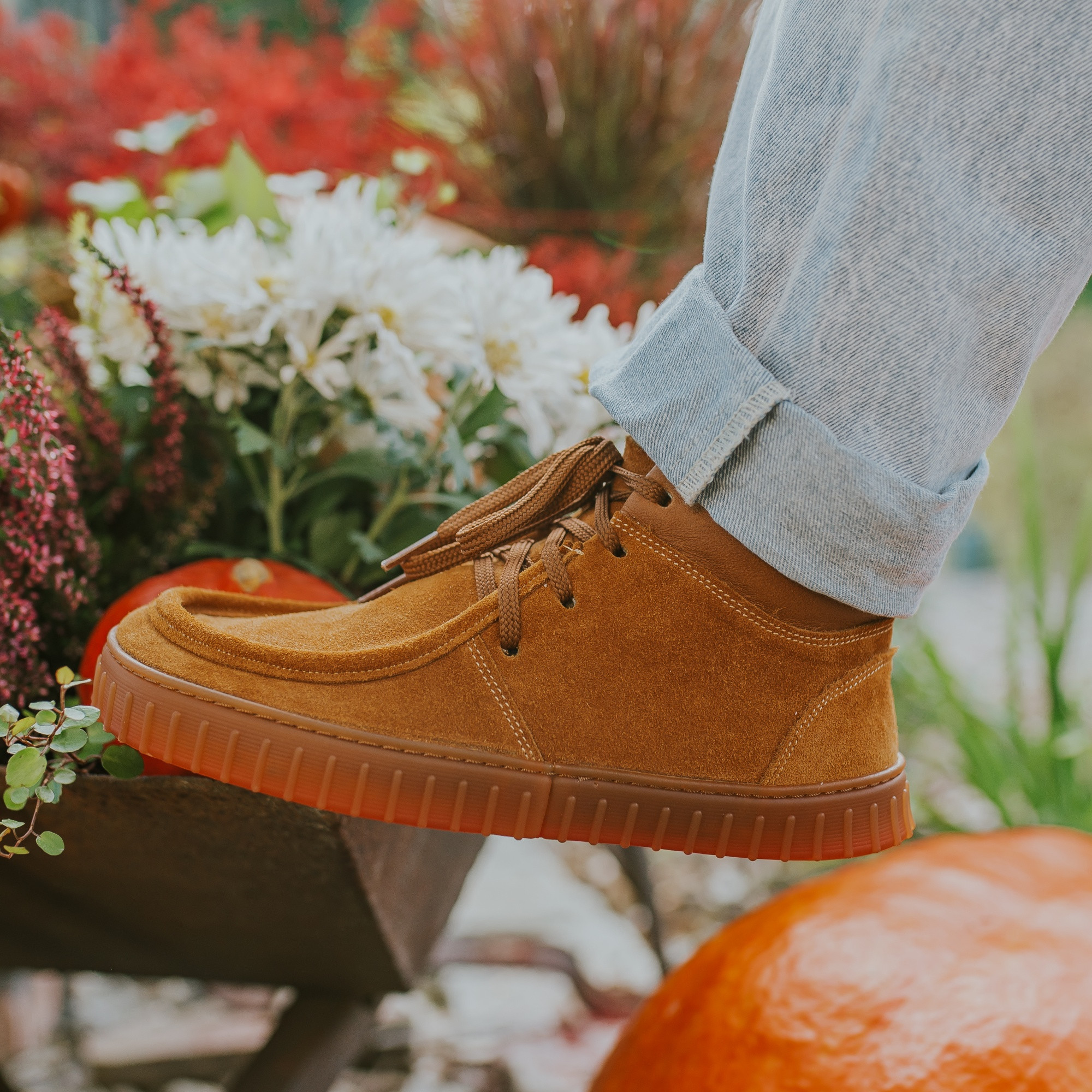 ed277c706538794fde2232837845bb4c