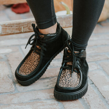 7ba0287d083aa8b74fb77c4a83d918e2