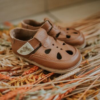 abe0a9811ba8b9864e68d11f643096cb