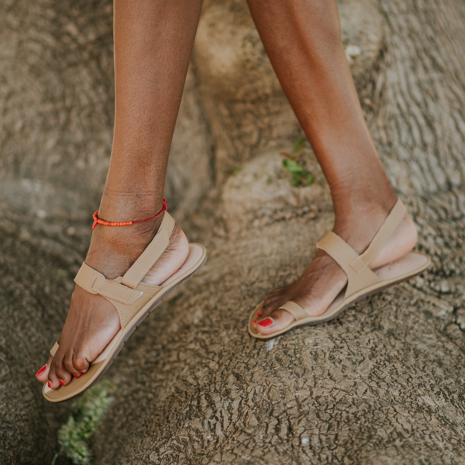 a72513b3a28d795aad62ddbf71c6aa19