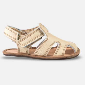 eddf2a31e84dd4c84e979ddcb847d3f8