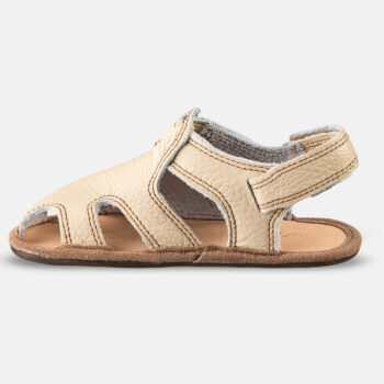 d67ac7ab0fbb24c42a4cea916da97cf2