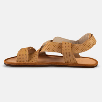 ed247befa3d31a1578e39a3e0c4524d8