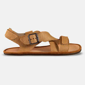 ac9d97adc078a18eb8e67b86a843a26b